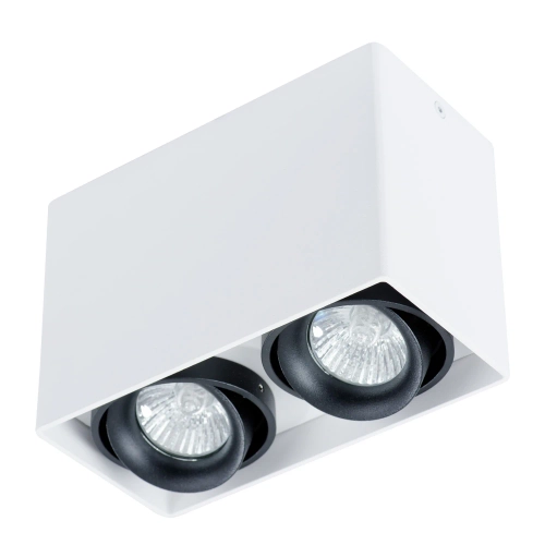 Купить Точечный накладной светильник Arte Lamp PICTOR A5655PL-2WH