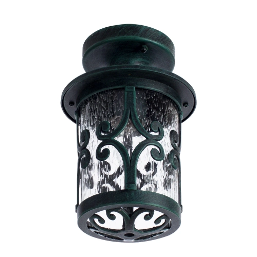 Купить Уличный потолочный светильник Arte Lamp PERSIA A1453PF-1BG