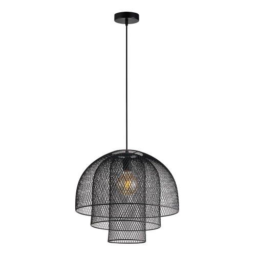 Купить Подвесной светильник Arte Lamp CASTELLO A7064SP-1BK