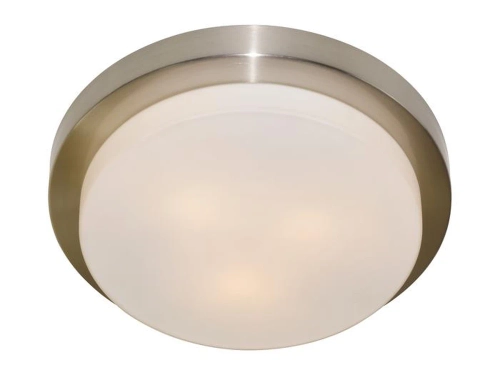 Купить Потолочный светильник Arte Lamp AQUA A8510PL-3SS