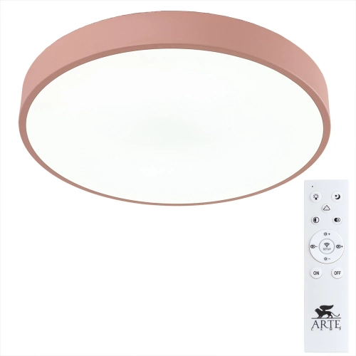 Купить Потолочный светильник Arte Lamp ARENA A2661PL-1PK
