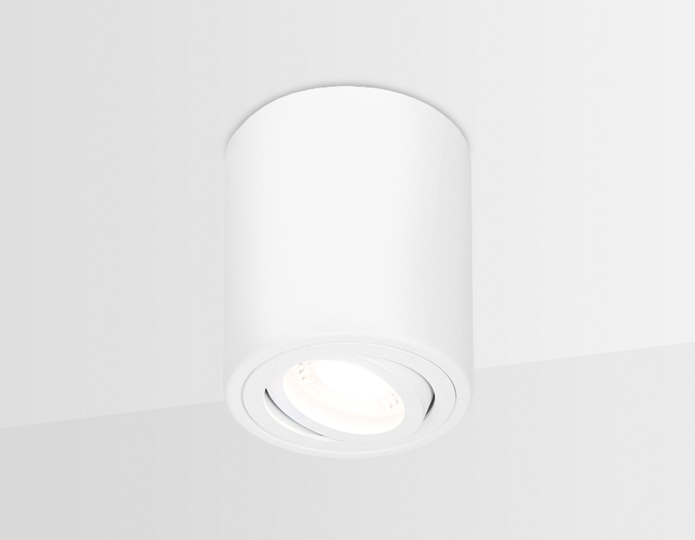 TN225 WH белый GU5.3 D80*100