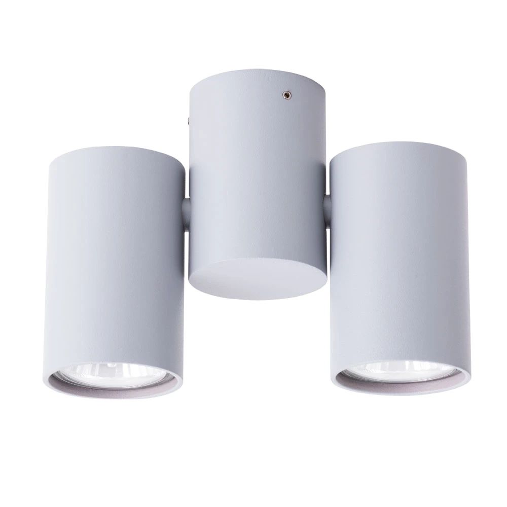 Спот Arte Lamp GAVROCHE A1511PL-2GY