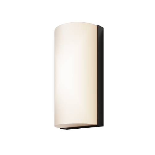 Купить Уличный настенный светильник Outdoor O454WL-L10GF3K1