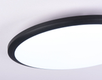 FZ1235 BK черный IP44 48W 6400К D450*55 (Без ПДУ)
