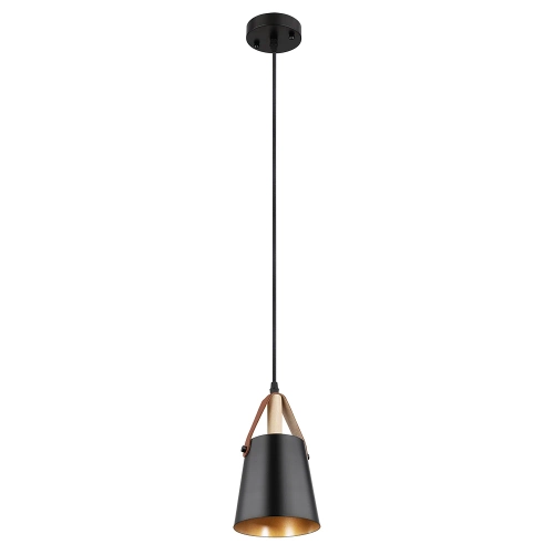 Купить Подвесной светильник Arte Lamp THOMAS A7032SP-1BK