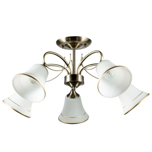 Купить Потолочная люстра Arte Lamp BLOSSOM A2709PL-5AB