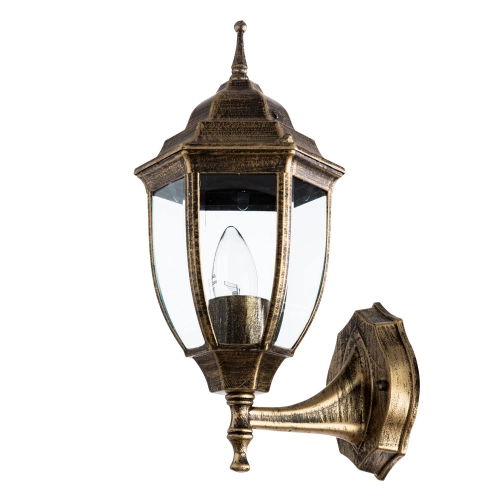 Купить Уличный настенный светильник Arte Lamp PEGASUS A3151AL-1BN