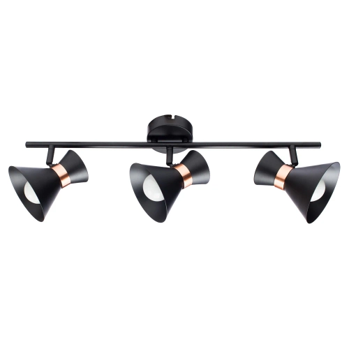 Купить Спот Arte Lamp BALTIMORE A1406PL-3BK