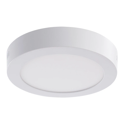 Купить Потолочный светильник Arte Lamp ANGOLO A3012PL-1WH