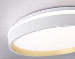 FZ601 WH/GD белый/золото IP20 46W 3000K-6500K+RGB D390*80 (ПДУ ИК)