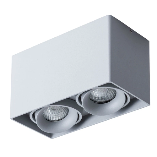 Купить Точечный накладной светильник Arte Lamp PICTOR A5654PL-2GY