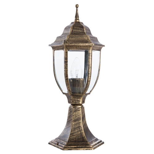 Купить Ландшафтный светильник Arte Lamp PEGASUS A3151FN-1BN